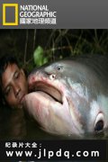 寻找亚马逊大鱼